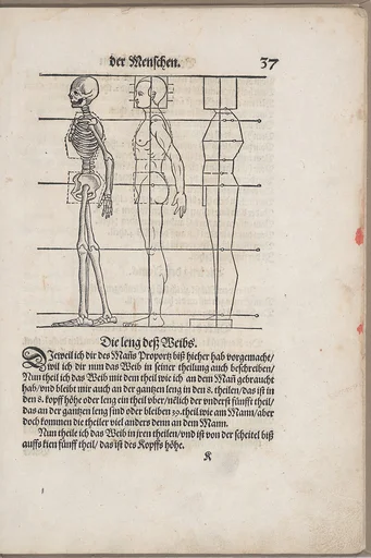 Des Circkels unnd Richtscheyts, auch der Perspectiva und Proportion der Menschen und Rosse, kurtze, doch gründtliche underweisung deß rechten gebrauchs