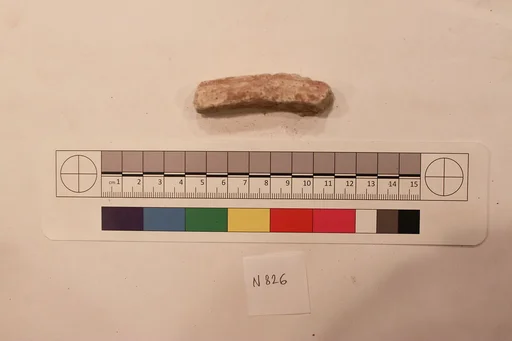 Stucco Fragment