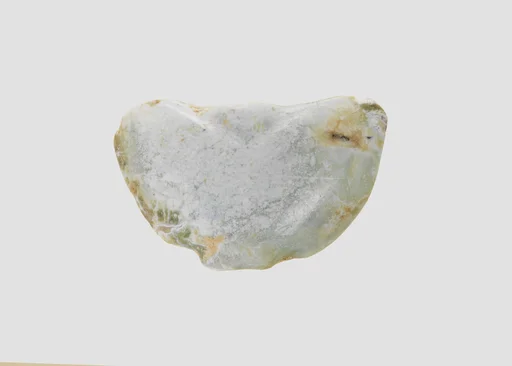 Bead