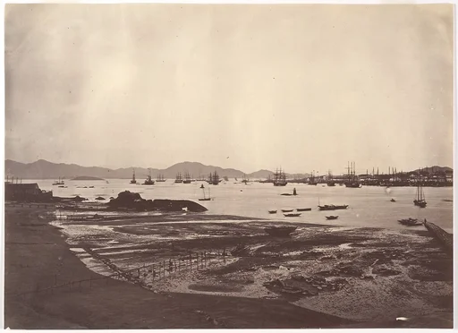 Amoy Harbour