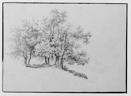 Copse of Trees on a Riverbank (from Sketchbook)