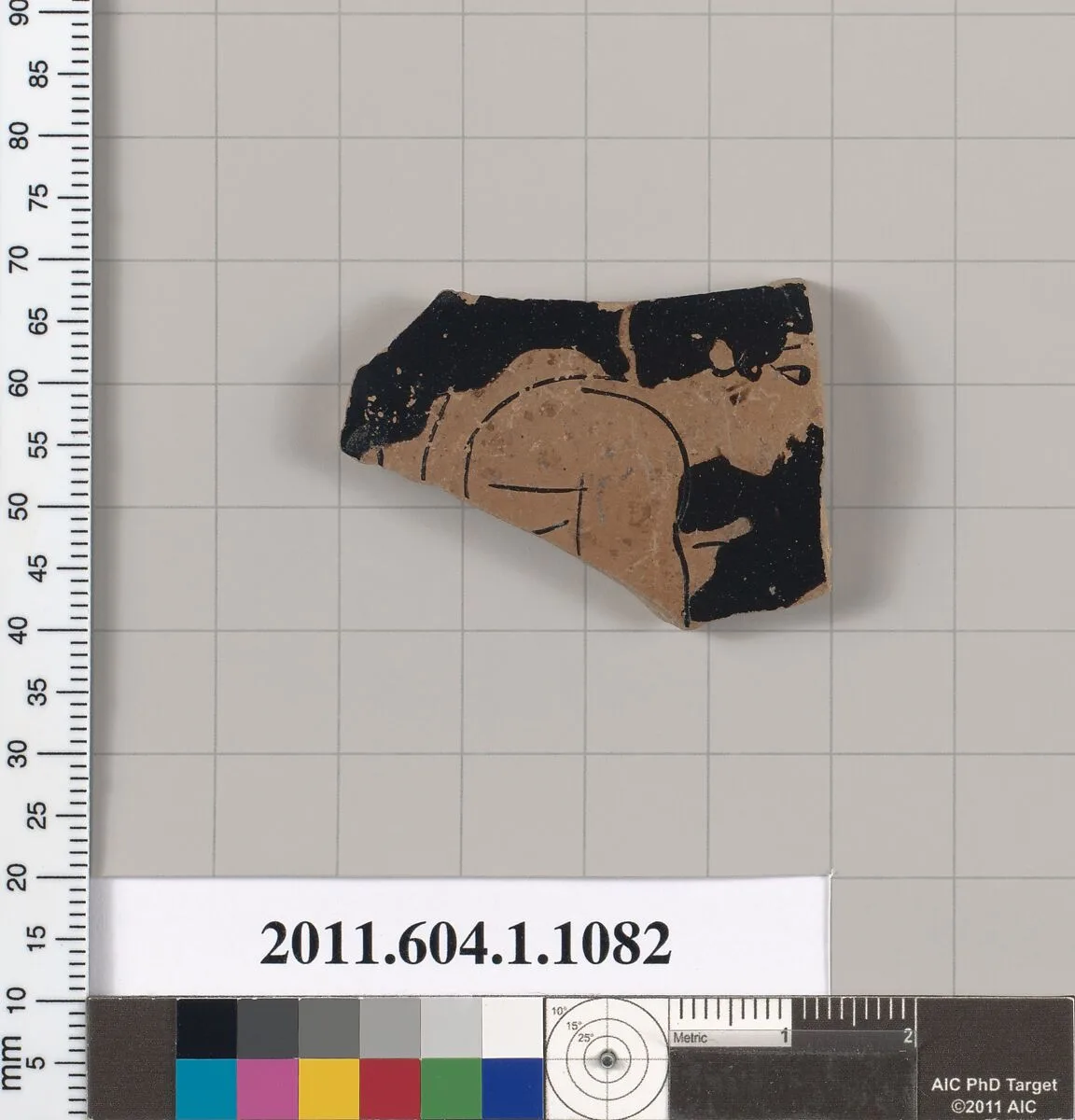 Terracotta fragment of a kylix (drinking cup) — Unknown