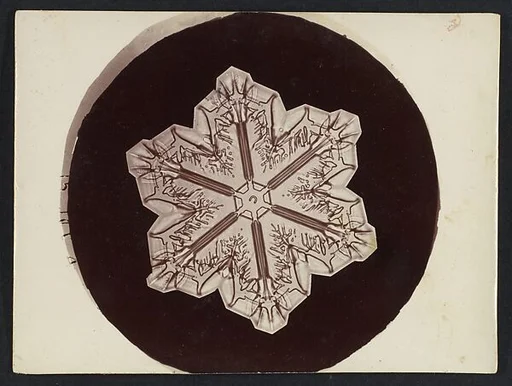[Snow Crystal]