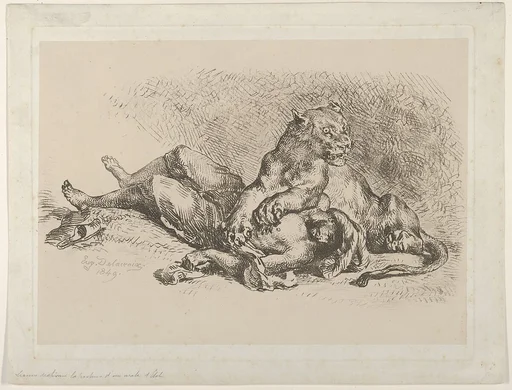 A Lioness Mauling the Chest of an Arab