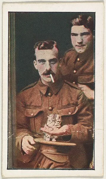 Card No. 232, British Tommies' Novel Mascot at the Front, from the World War I Scenes series (T121) issued by Sweet Caporal Cigarettes — Underwood & Underwood|American Tobacco Company