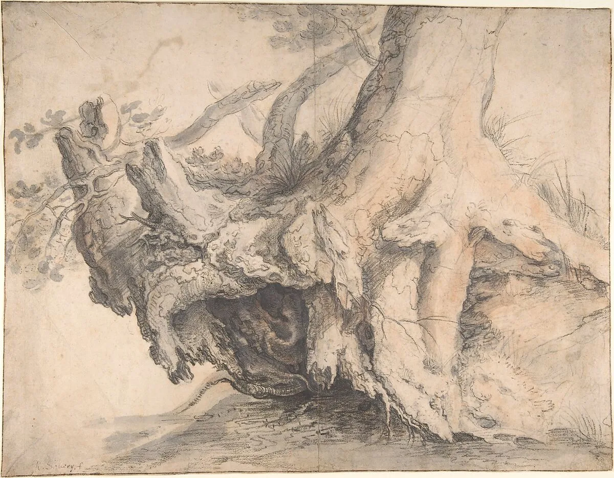 Study of a Tree — Roelandt Savery