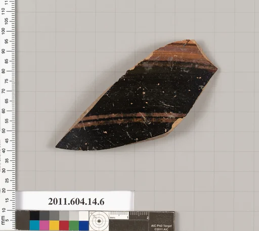 Terracotta fragment of an amphora?