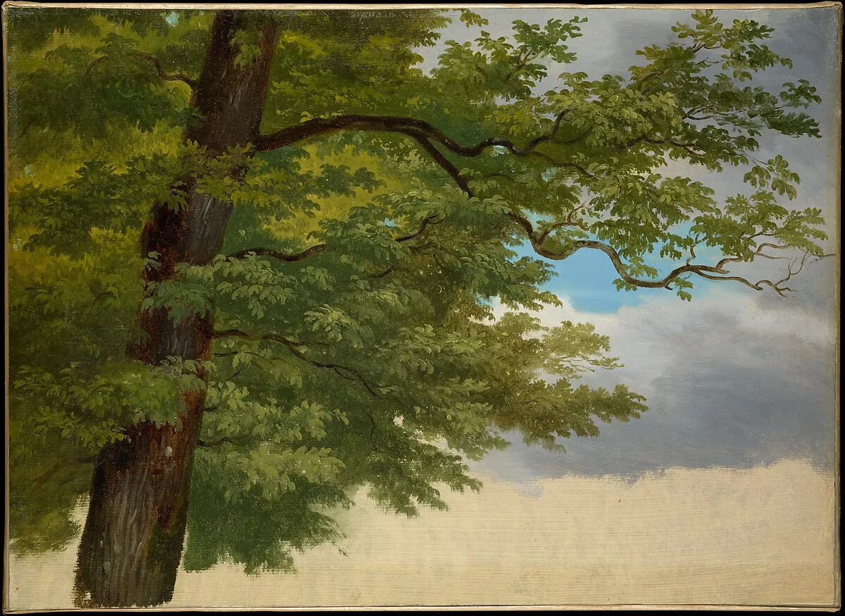 Tree Foliage — George Augustus Wallis
