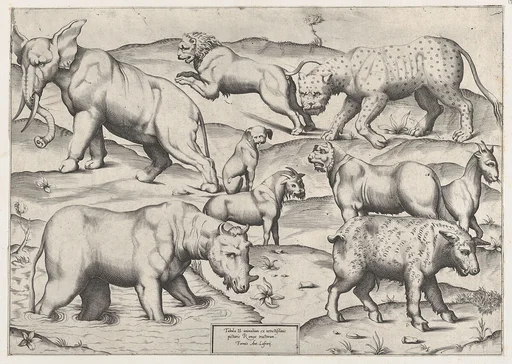 Speculum Romanae Magnificentiae: Wild Animals, from antique wall paintings, plate 2