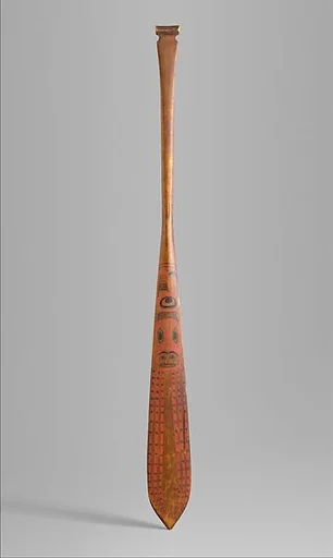 Steering Paddle