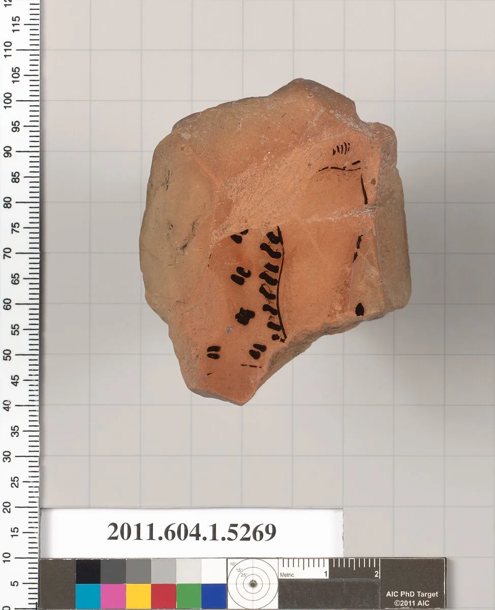 Terracotta fragment of a kylix (drinking cup) — Unknown