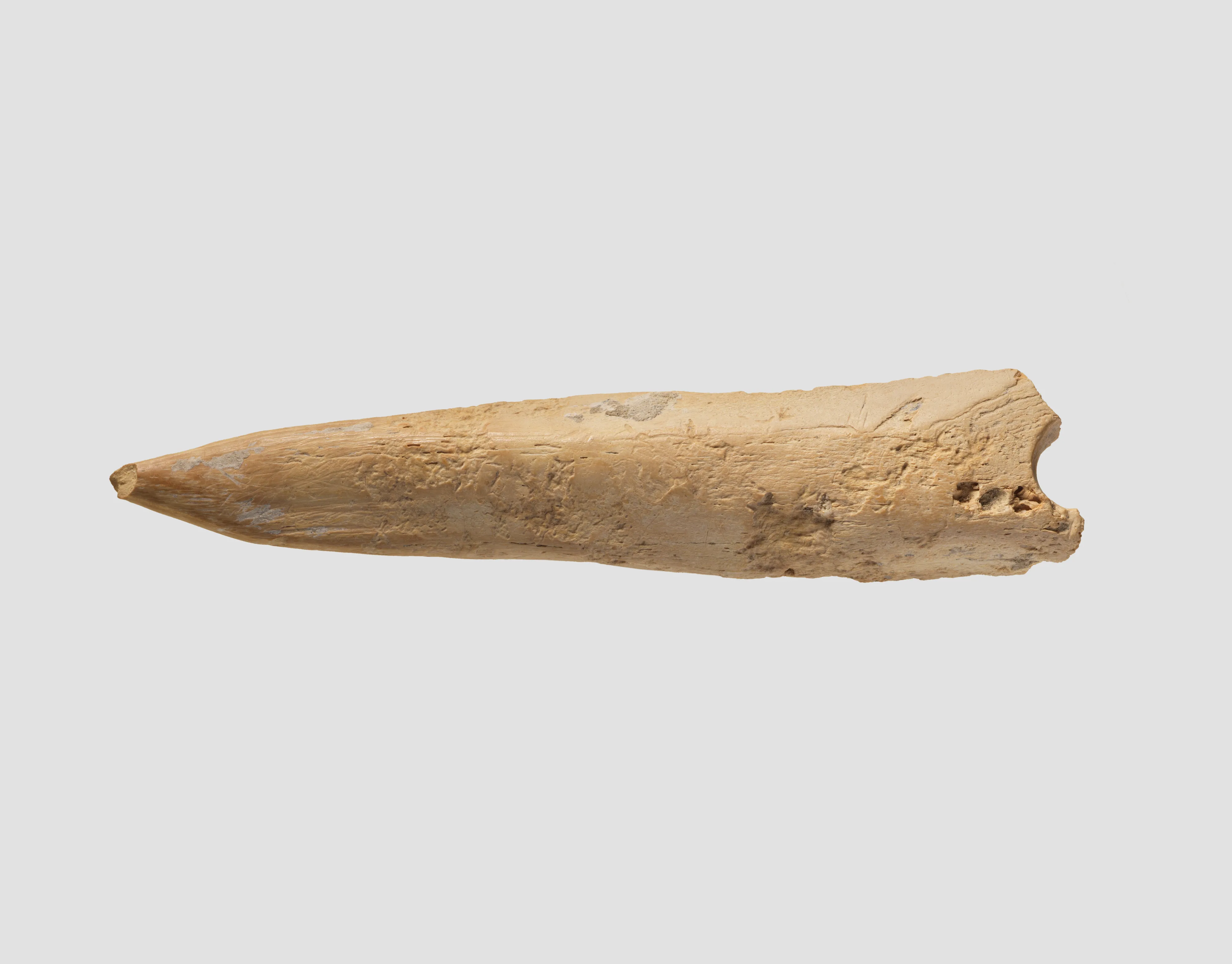 Awl (?) — Unknown