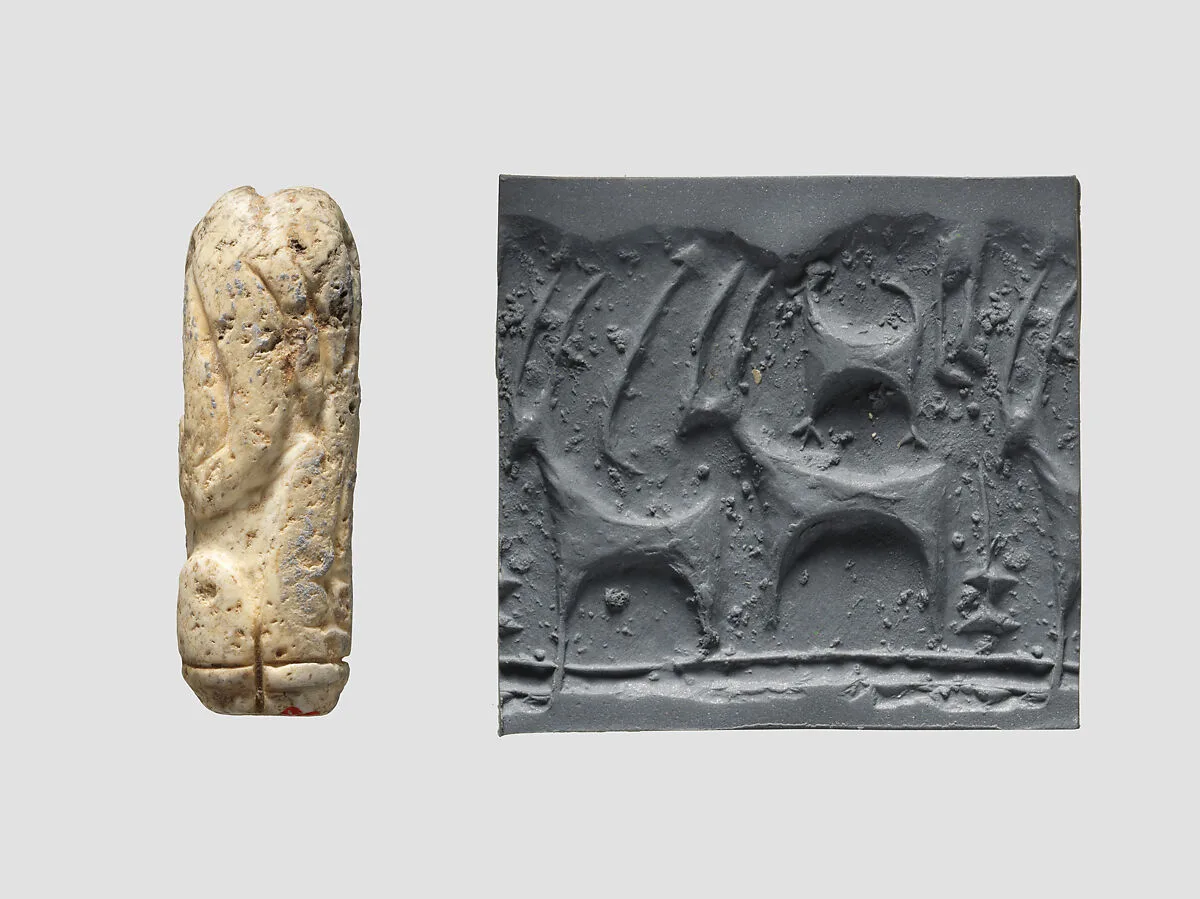 Cylinder seal — Unknown