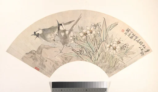 清  徐祥  小鳥水仙  扇面|Birds and Narcissus