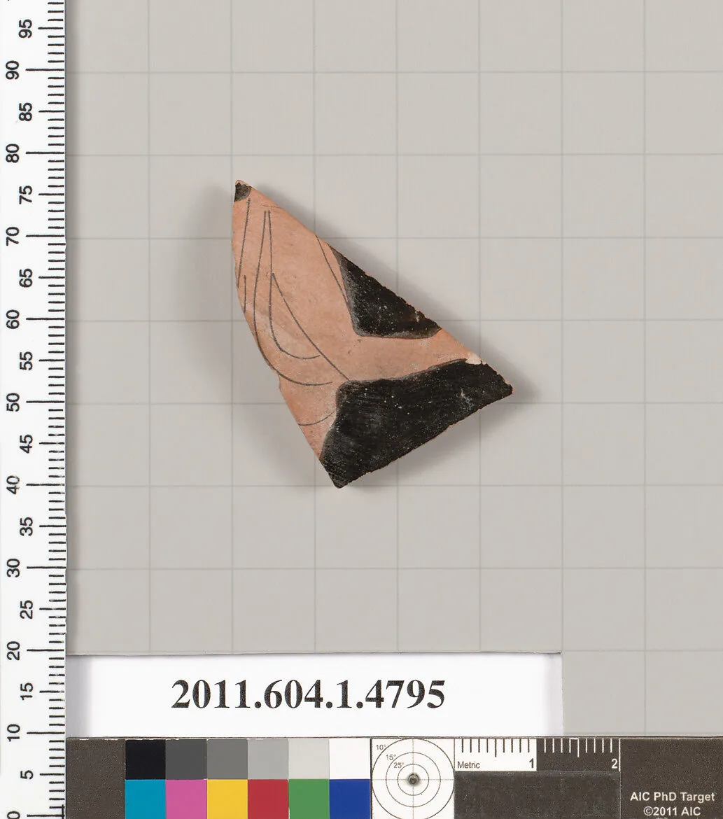 Terracotta fragment of a kylix (drinking cup) — Unknown