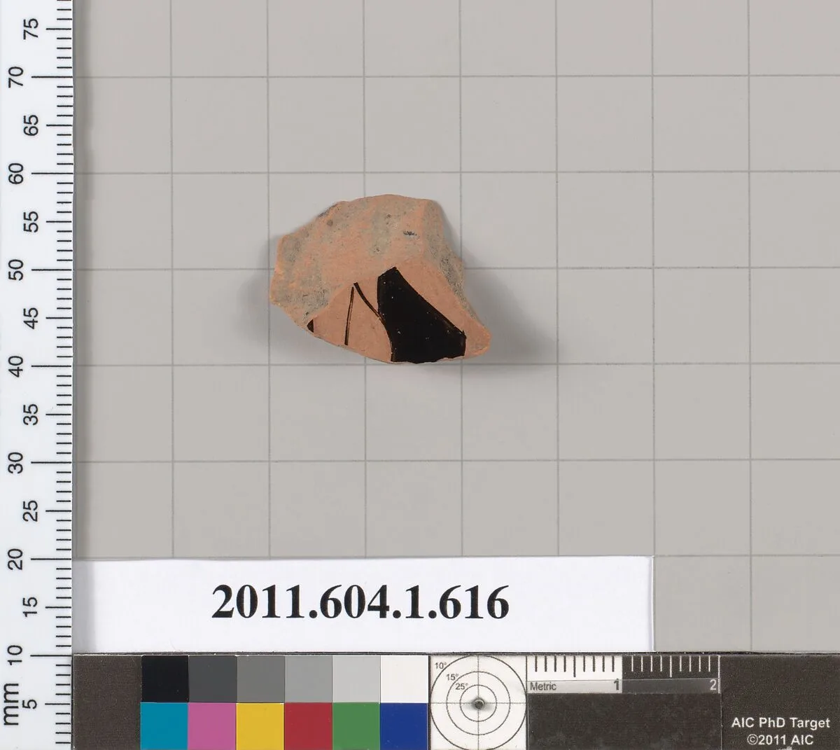Terracotta fragment of a kylix (drinking cup) — Unknown