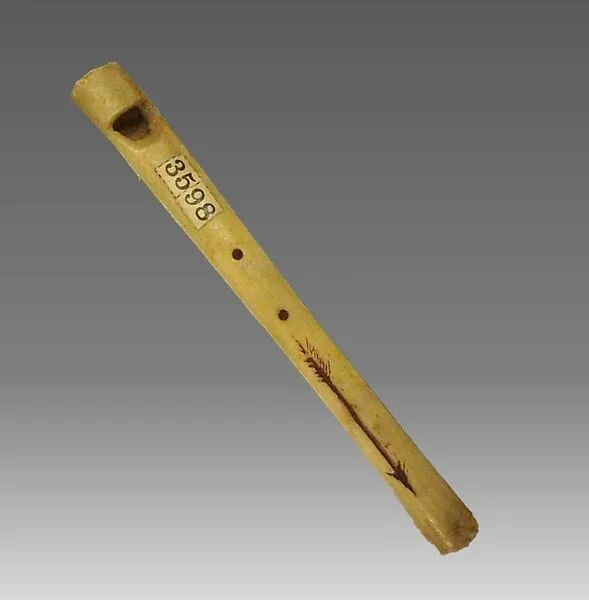 Bone whistle — Unknown