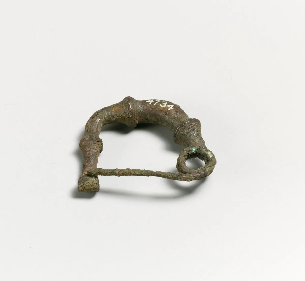 Fibula — Unknown