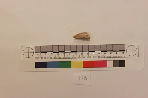 Stucco Fragment