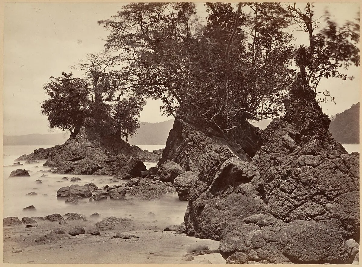 Tropical Scenery, Limon Bay - Low Tide — John Moran