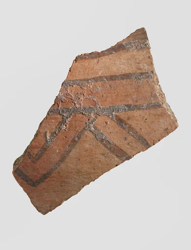 Sherd