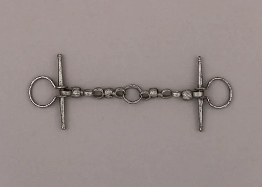 Snaffle Bit
