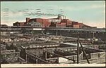 Swift & Co. Packing House, Fort Worth, Texas.