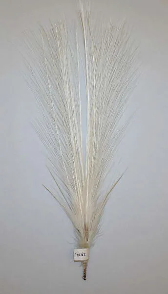 Aigrette — Unknown