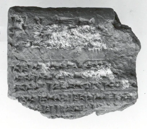 Cuneiform tablet: Shumma alu, tablet 17