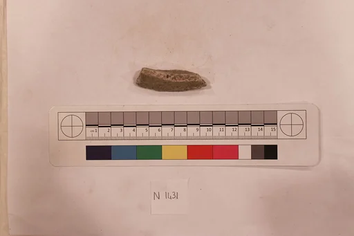 Stucco Fragment