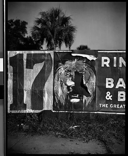 [Torn Ringling Brothers Circus Poster, Florida]