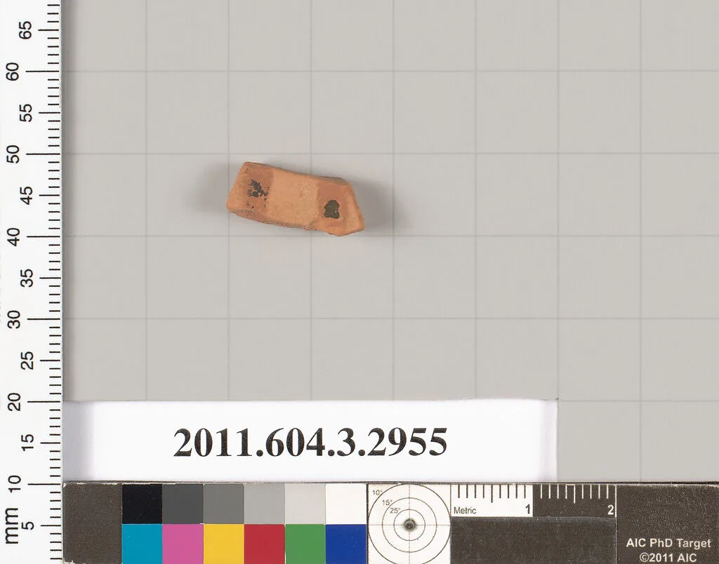 Terracotta fragment of a closed shape — Unknown