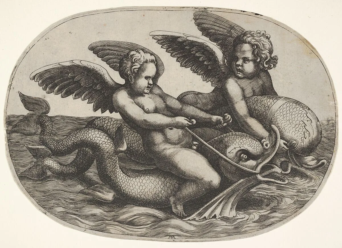 Two winged putti riding parallel on dolphins above the water surface, an oval composition — Adamo (Ghisi) Scultori|Giulio Romano