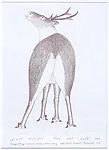 Caribou — Kananginak Pootoogook