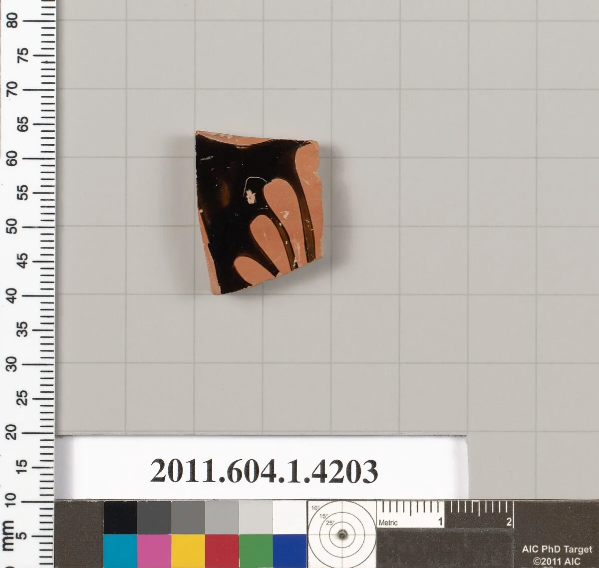 Terracotta fragment of a kylix (drinking cup) — Unknown