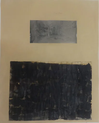 Carbon