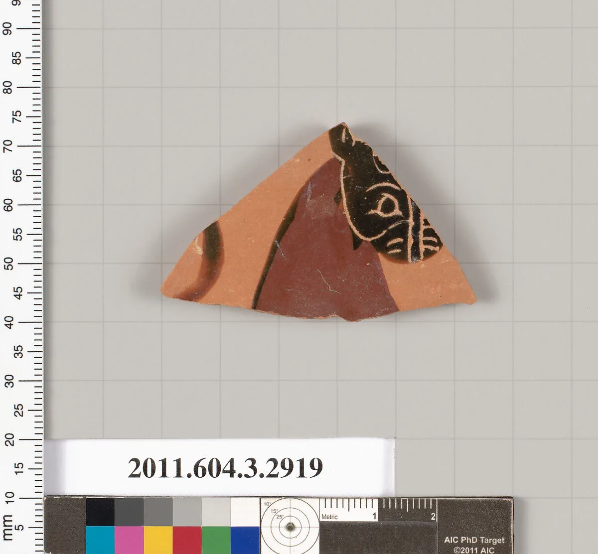 Terracotta fragment of a neck-amphora (jar), Tyrrhenian? — Unknown