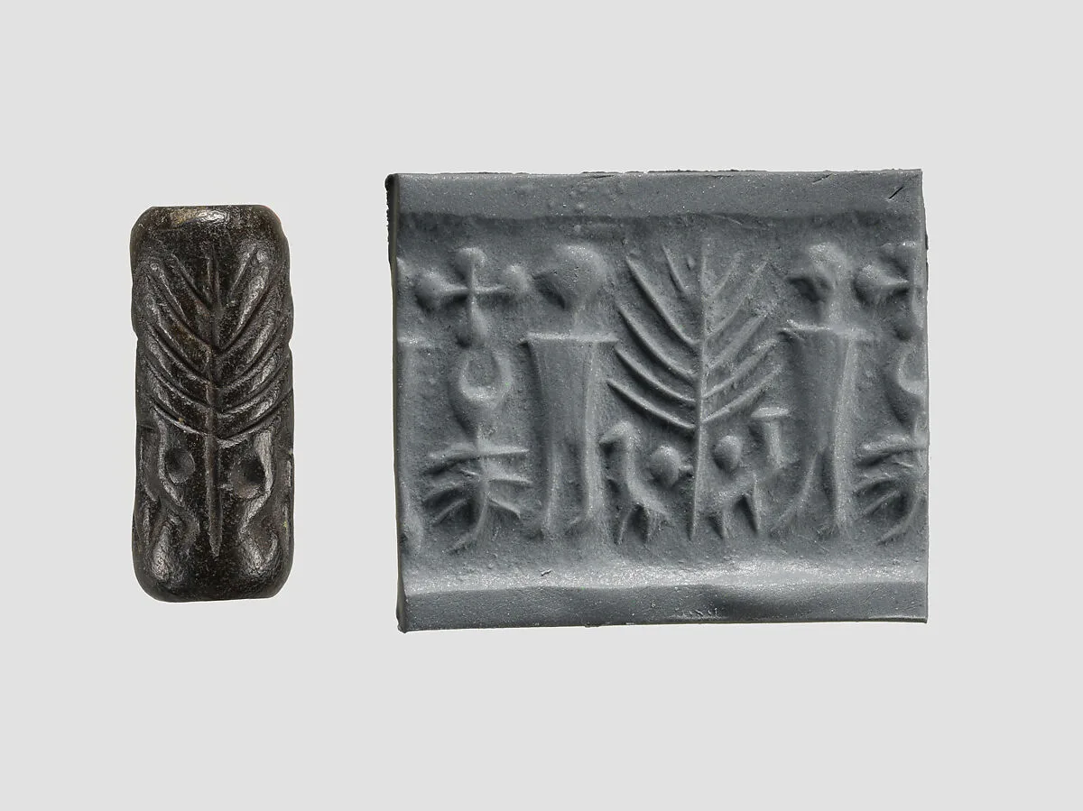 Cylinder seal — Unknown