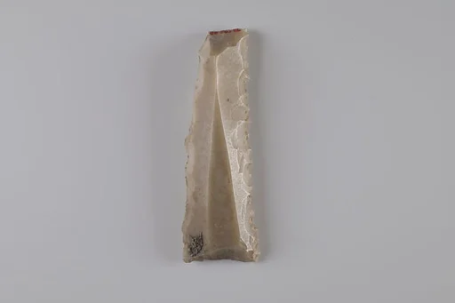 Sickle Insert