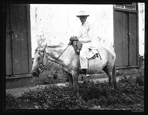 [Man on Donkey, Cuba]