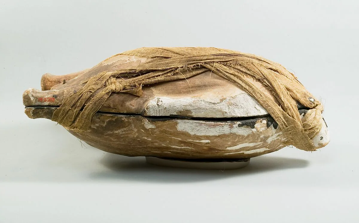 Food Case Probably Containing a Preserved Duck — Unknown
