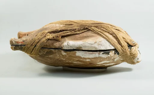 Food Case Probably Containing a Preserved Duck