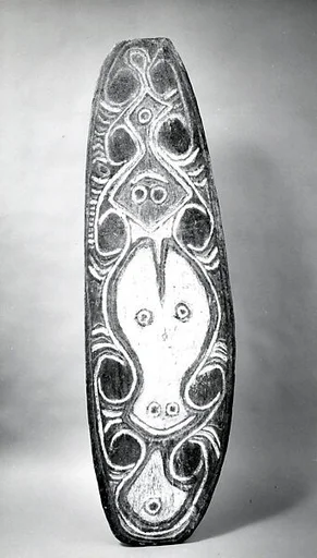 Shield