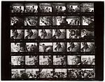 [Contact Sheet from Canadian Assignment]
