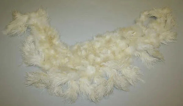Evening cape — Unknown