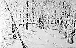 Tracks in the Snow