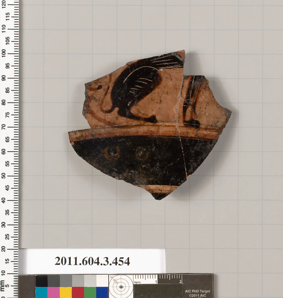Terracotta fragment of a neck-amphora (jar) — Unknown