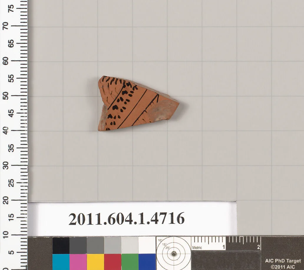 Terracotta fragment of a kylix (drinking cup) — Unknown