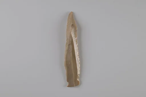 Sickle Insert