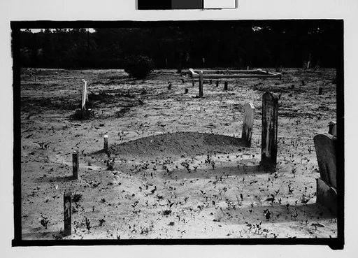 [Graves, Alabama]